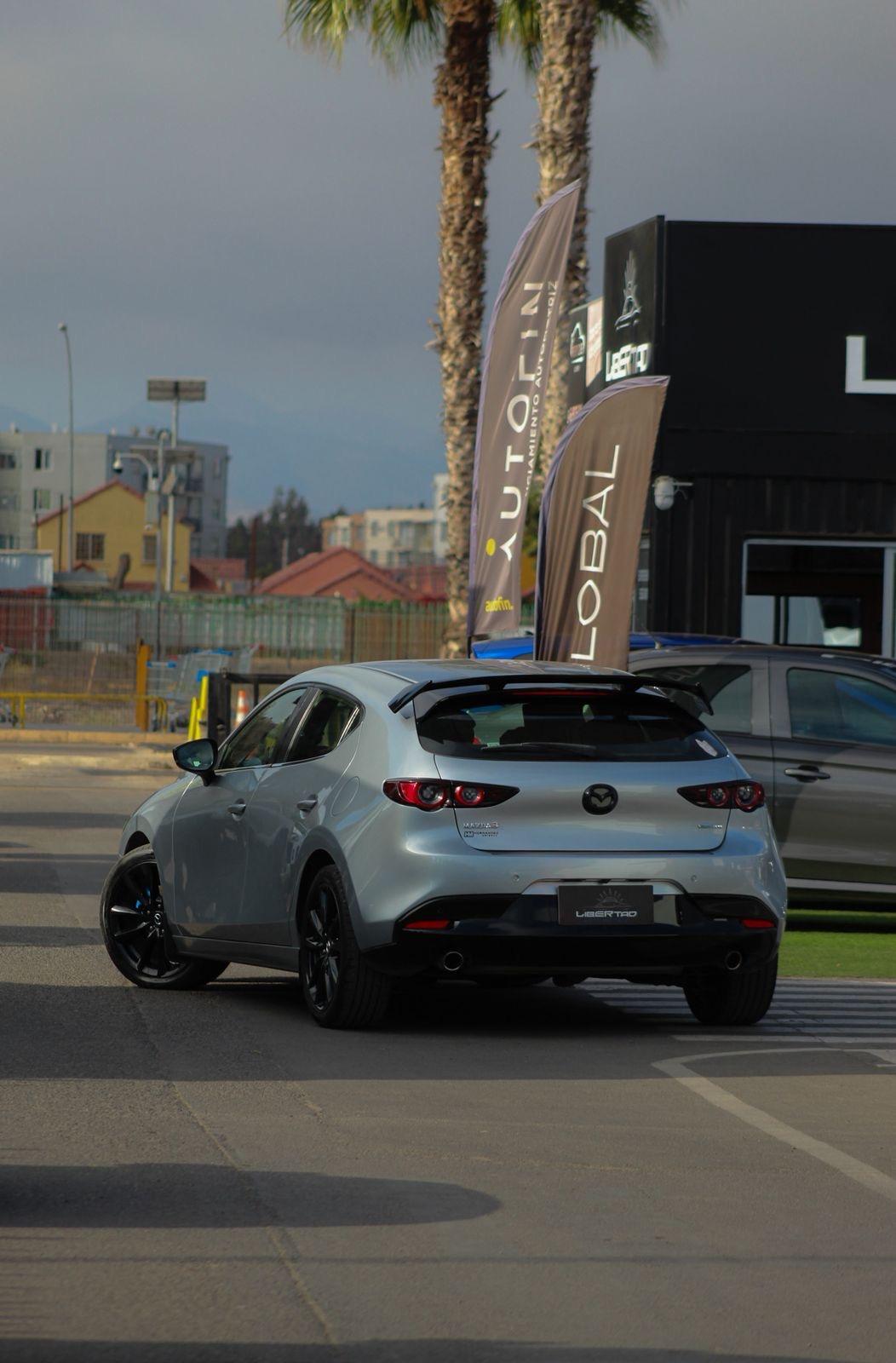 Miniatura custom_imagen_6