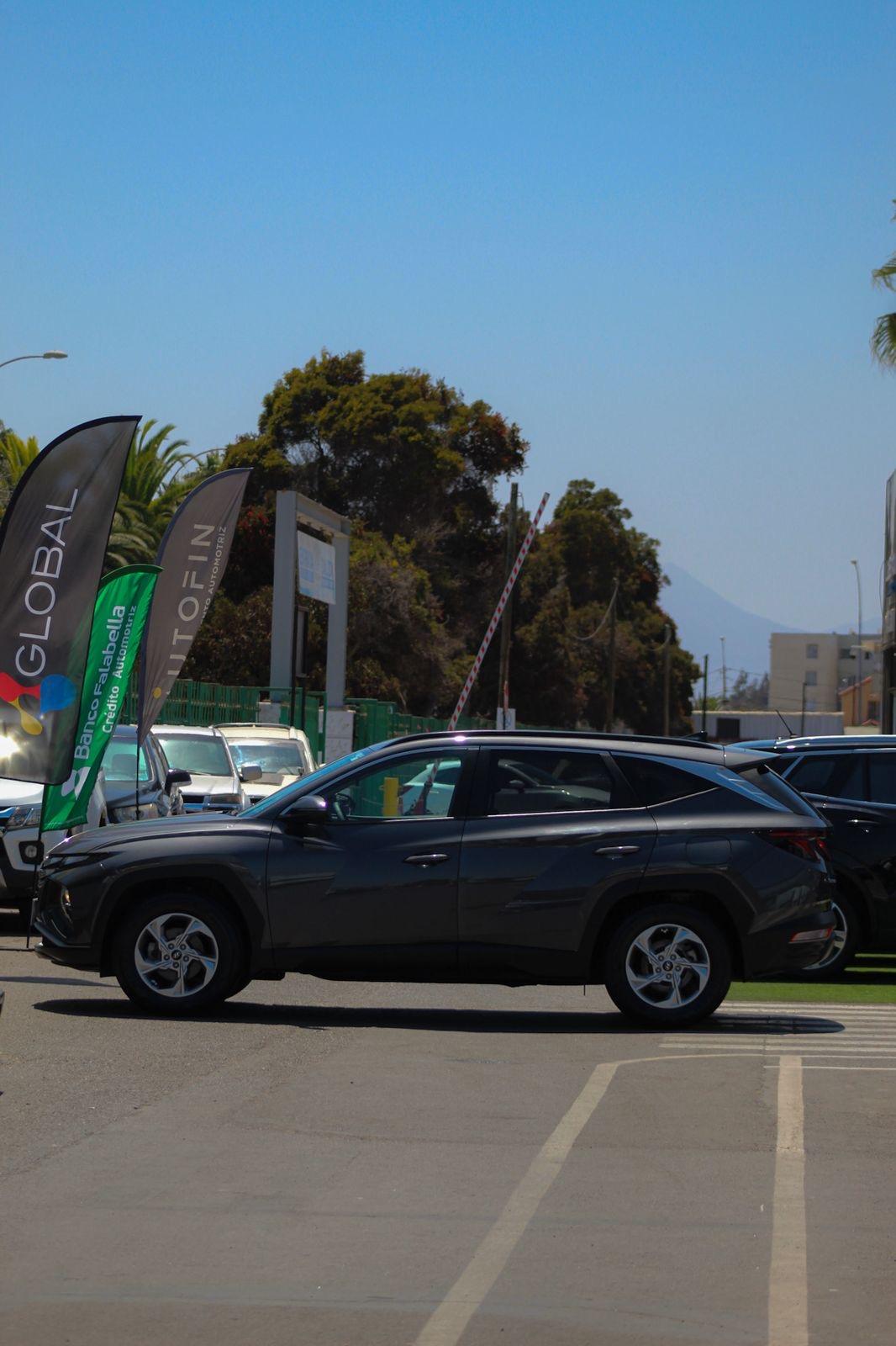 Miniatura custom_imagen_3