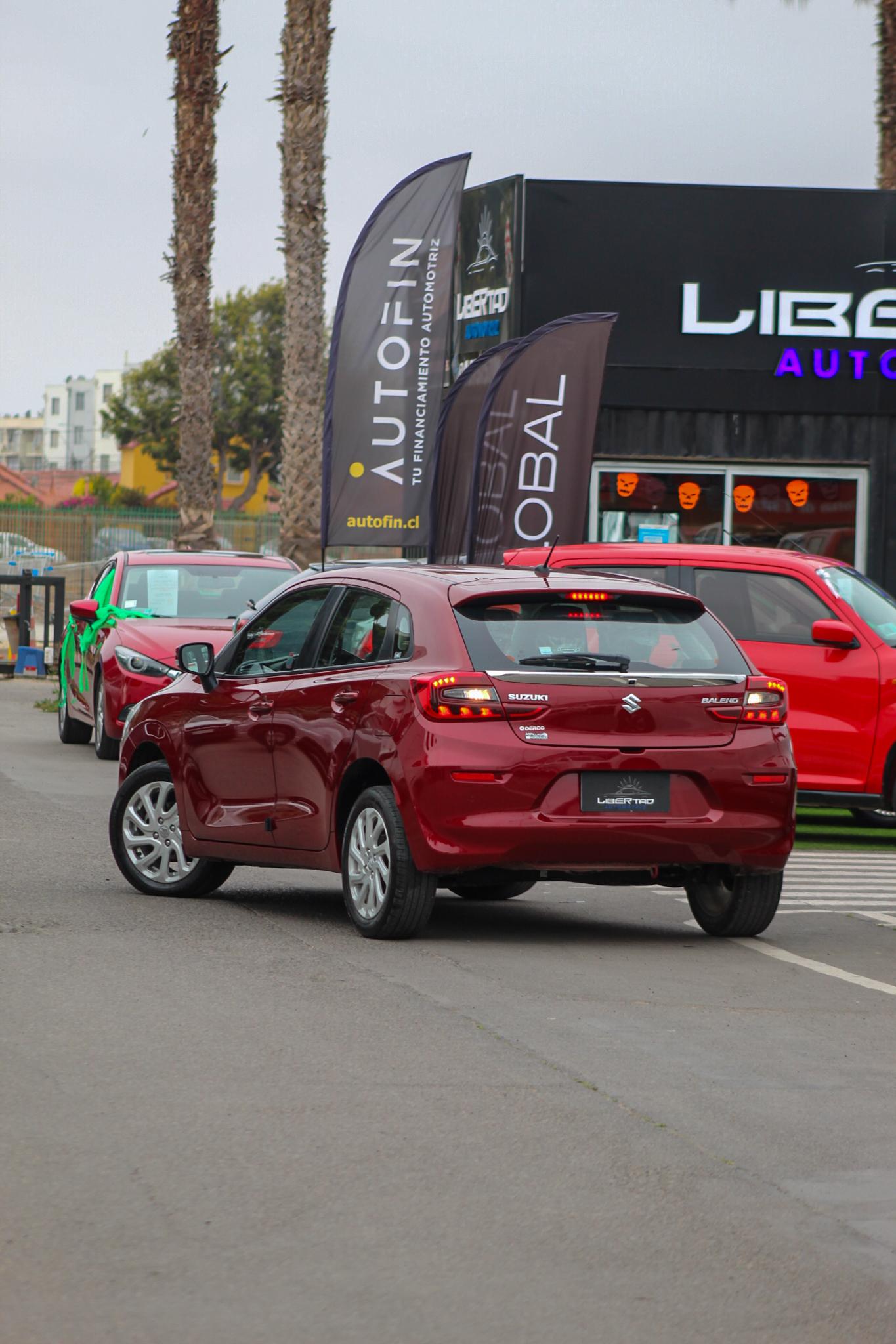 Miniatura custom_imagen_10